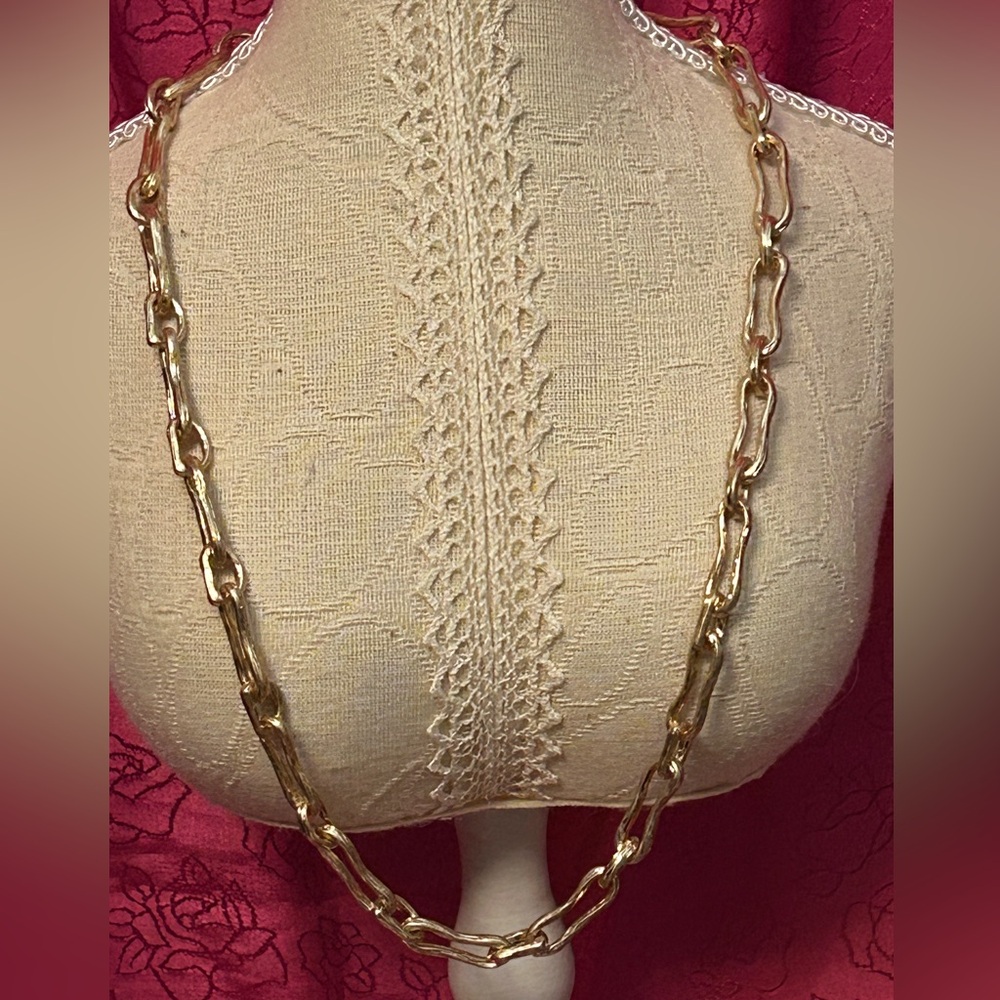 NWT Park Lane Gold Link Necklace